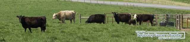 Whole Farm Planning Whole Farm Planning